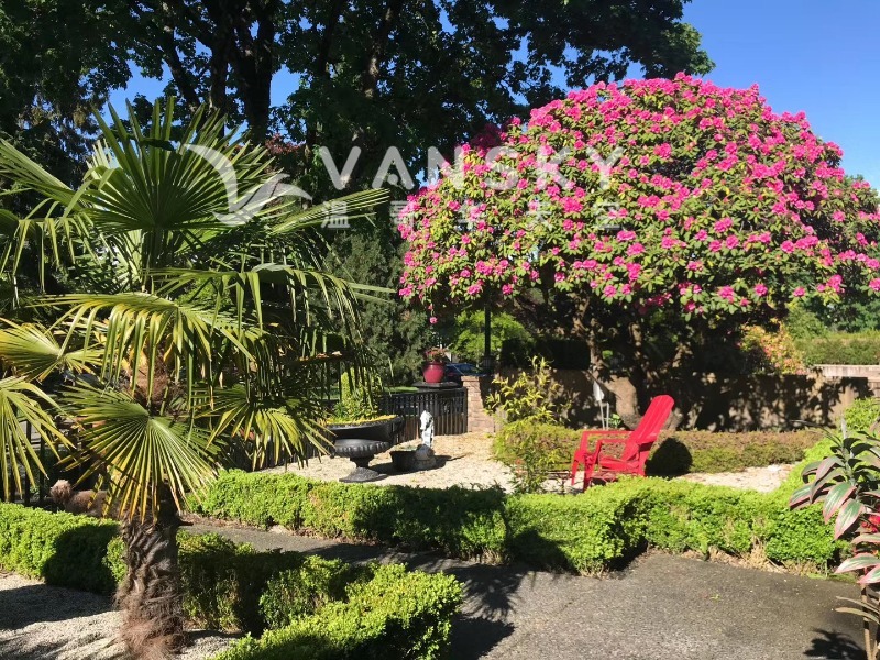 260827201226_front garden 1.JPG